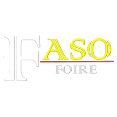 les réseaux sociaux